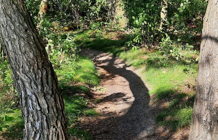 Outdoor breakfast on the terrace of vacation home Manderveen, enjoy the morning sun in Twente.