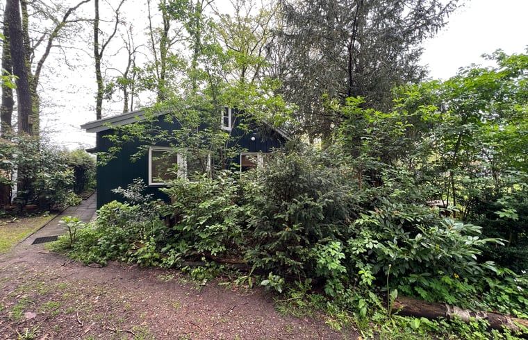 Guest house 525108 - Holiday property Twente - Vakantiehuisje in Haaksbergen Buurse