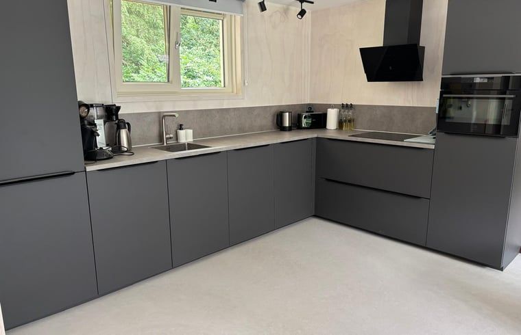 Sleek kitchen in Cottage in Buurse, vacation home in Twente, with modern appliances and forest views.