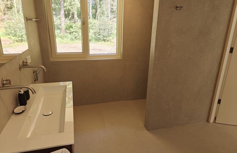 Luxury bathroom in Cottage in Buurse, vacation home in Twente, with spacious shower and natural light.