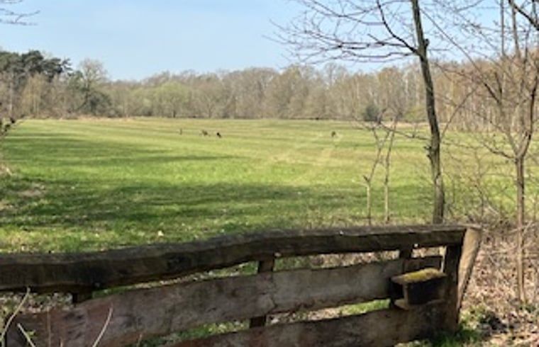Expansive field near Cottage in Buurse, vacation home in Twente, overlooking nature.