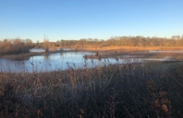 Watery landscape at sunrise near Cottage in Buurse, vacation home in Twente, with serene atmosphere.