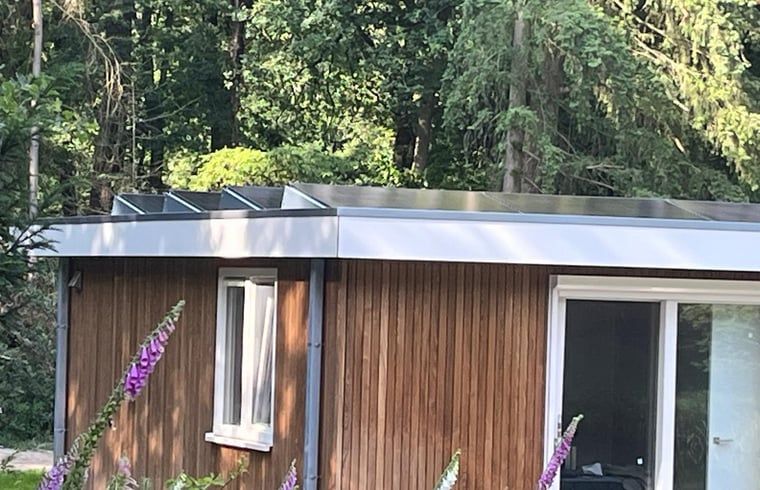 Sustainable design of Huisje in Buurse, vacation home in Twente, with solar panels on the roof.
