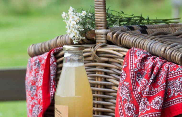 Unterkunft 525307 - Ferienhaus Twente - Huisje in Lattrop