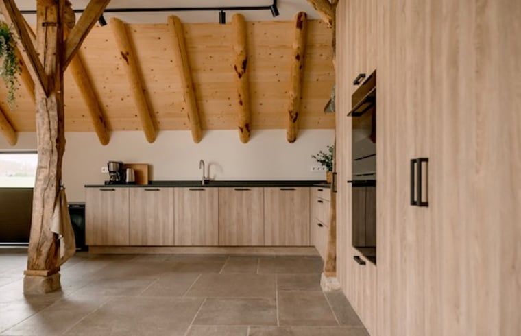 Modern kitchen in Cottage in Agelo, vacation home in Twente, Overijssel, with wooden beams and stylish decor for a cozy atmosphere.