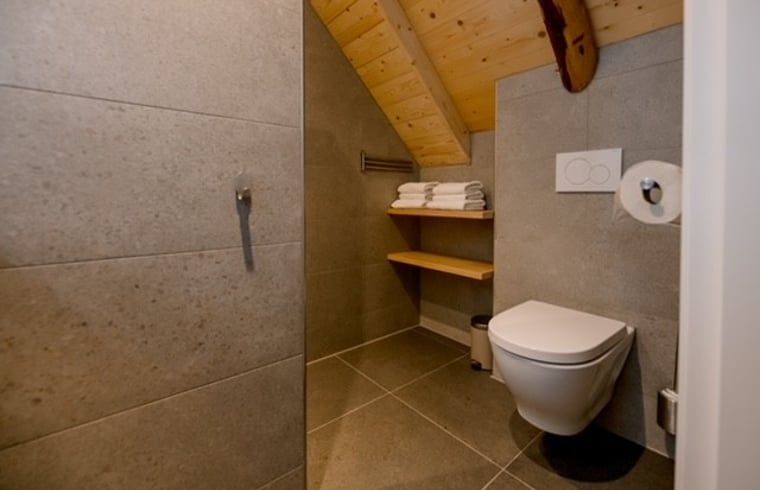 Guest house 525714 - Holiday property Twente - Huisje in Agelo