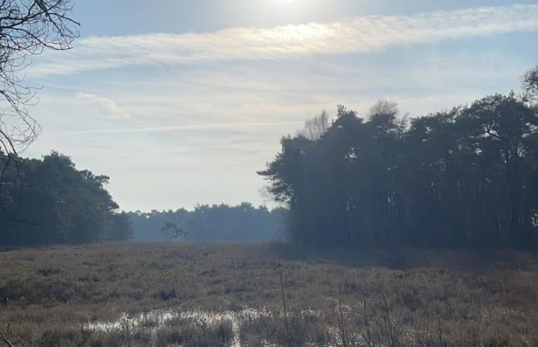 Unterkunft 525901 - Ferienhaus Twente - Vakantiehuis in Bentelo
