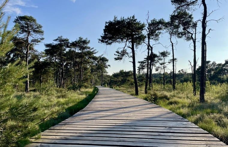 Unterkunft 525901 - Ferienhaus Twente - Vakantiehuis in Bentelo