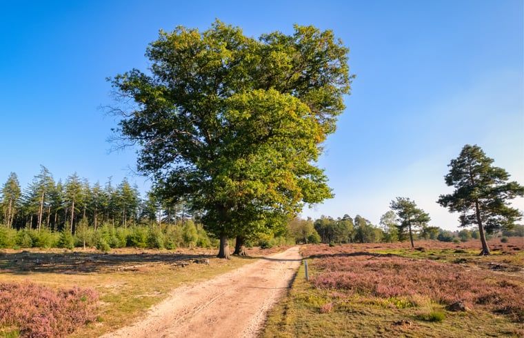 Verblijf 525901 - Vakantiewoning Twente - Vakantiehuis in Bentelo