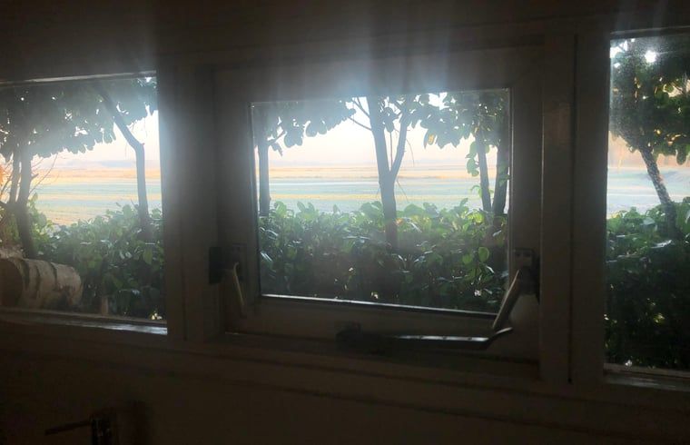 Uitzicht vanuit vakantiehuis in Vroomshoop, Twente, op groene velden.