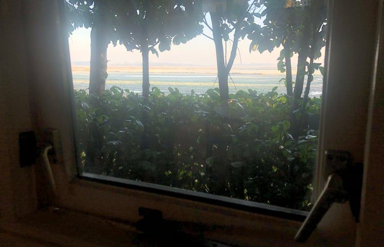 Panoramisch uitzicht op het landschap vanuit vakantiehuis in Vroomshoop, Twente.