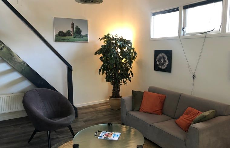 Comfortabele zithoek in vakantiehuis in Vroomshoop, Twente, met kunst aan de muur.