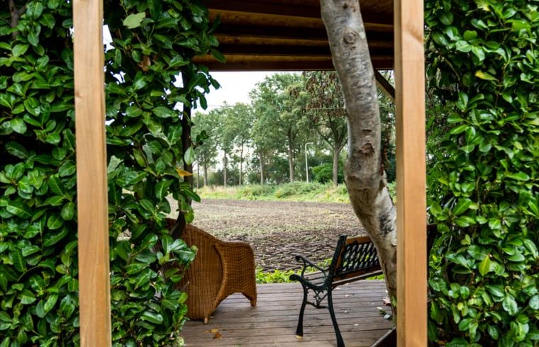 Rustiek bankje in de tuin van vakantiehuis in Vroomshoop, Twente.