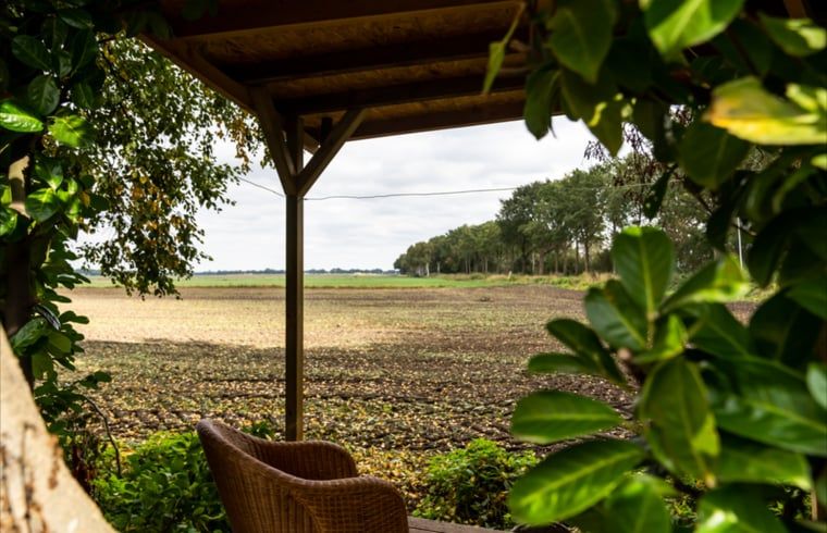 Rieten stoel op terras met natuurzicht in vakantiehuis in Vroomshoop, Twente.