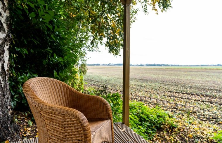 Gezellig kampvuur in de avond bij vakantiehuis in Vroomshoop, Twente.
