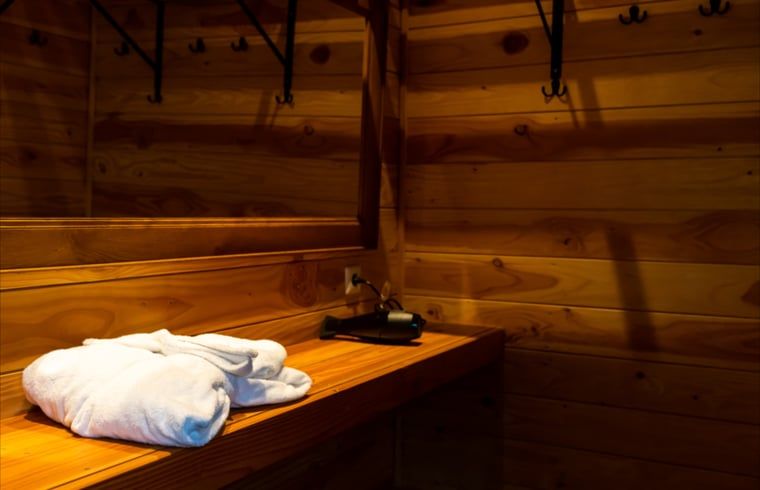 Verblijf 526004 - Vakantiewoning Twente - Vakantiehuis in Vroomshoop