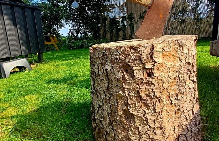 Houtblok in de tuin van Huisje in Vroomshoop, vakantiehuis in Twente, Overijssel.