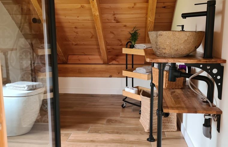 Stijlvolle badkamer in Vakantiehuisje in Hengevelde, Twente met houten afwerking en moderne wastafel.