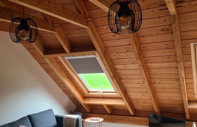 Sfeervolle woonkamer in Vakantiehuisje in Hengevelde, Twente met dakraam en houten plafond.