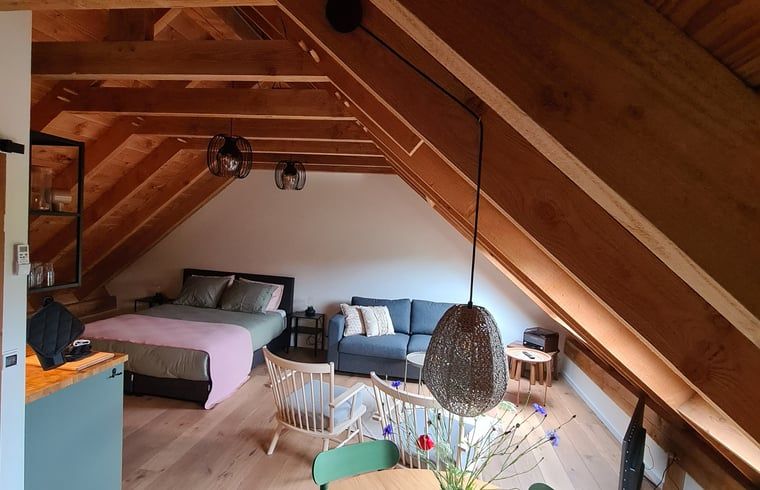 Open leefruimte in Vakantiehuisje in Hengevelde, Twente met zithoek en eethoek onder houten dak.