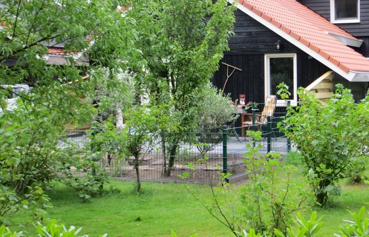Gruene Umgebung rund um das Ferienhaus in Boekelo, Twente, ideal fuer Naturliebhaber.