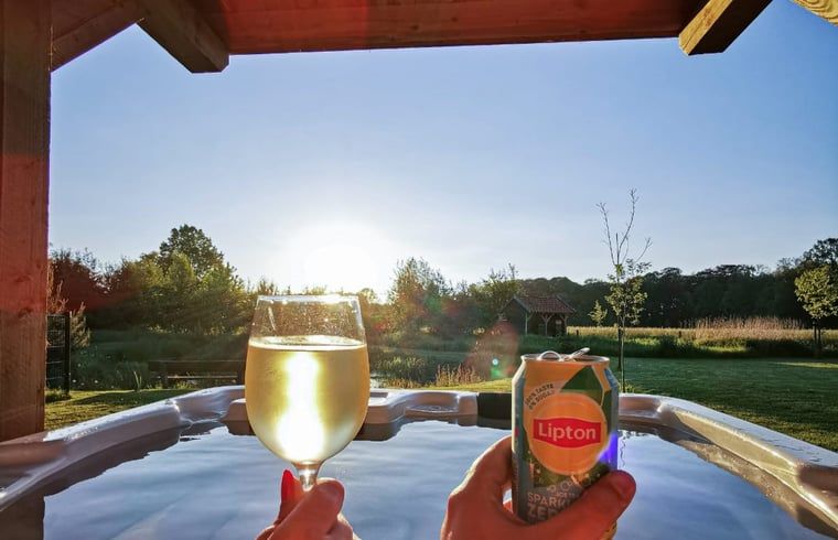 Geniessen Sie einen Drink im Jacuzzi im Ferienhaus in Boekelo, Enschede, mit herrlichem Blick auf die Natur.