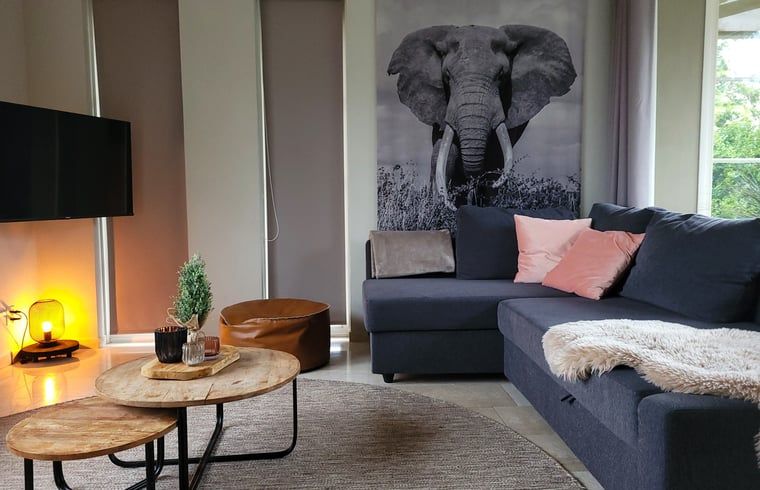 Gemuetliches Wohnzimmer im Ferienhaus in Lonneker, Twente, mit bequemer Sitzecke und stimmungsvoller Beleuchtung.