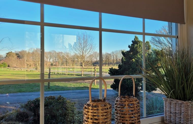 Schoene Aussicht vom Wohnzimmer des Ferienhauses in Lonneker, Twente, auf die gruene Landschaft von Overijssel.