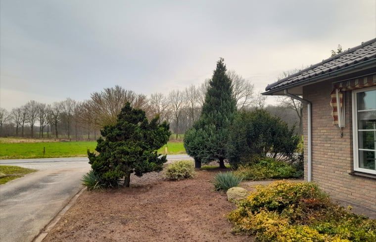 Vorgarten des Ferienhauses in Lonneker, Twente, mit bluehenden Pflanzen und gruener Umgebung in Overijssel.