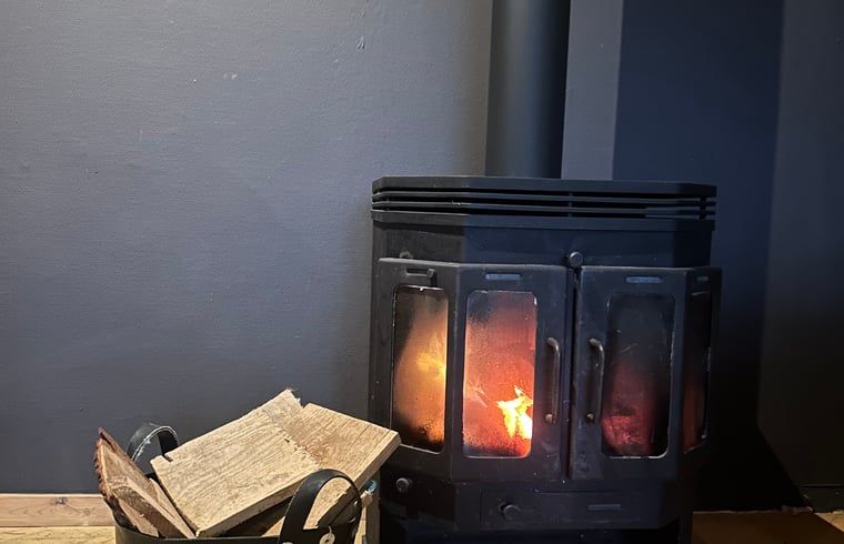 Gemuetliches Wohnzimmer im Ferienhaus in Goor, Twente, Overijssel, mit Weihnachtsbaum und gemuetlicher Sitzecke.