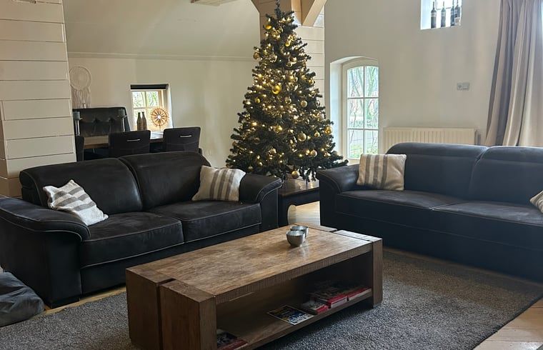 Gemuetliches Wohnzimmer im Ferienhaus in Goor, Twente, Overijssel mit bequemen Sofas und festlichem Weihnachtsbaum fuer eine gemuetliche Atmosphaere.