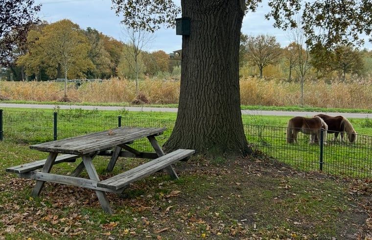 Unterkunft 526503 - Ferienhaus Twente - Vakantiehuisje in Goor