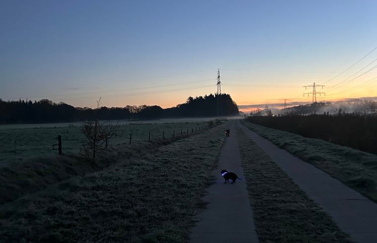 Unterkunft 526503 - Ferienhaus Twente - Vakantiehuisje in Goor