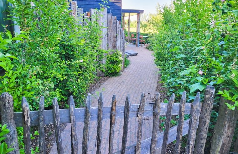 Sfeervol pad naar Vakantiehuisje in Bornerbroek, Twente, Overijssel omgeven door groene natuur.