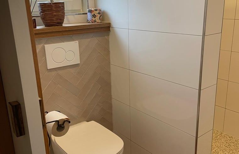 Moderne badkamer in Vakantiehuisje in Bornerbroek, Twente, Overijssel met stijlvol toilet.