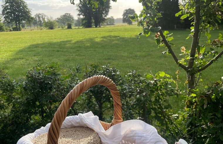 Prachtig uitzicht op het platteland vanuit Vakantiehuisje in Bornerbroek, Twente, Overijssel.