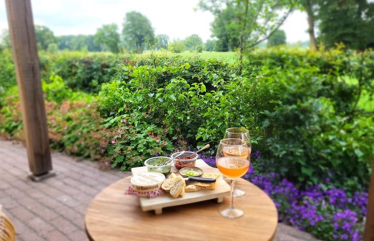 Gezellige picknick op het terras van Vakantiehuisje in Bornerbroek, Twente, Overijssel met hapjes en drankjes.