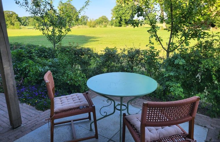 Buitenterras met tafel en stoelen bij Vakantiehuisje in Bornerbroek, Twente, Overijssel omgeven door groen.