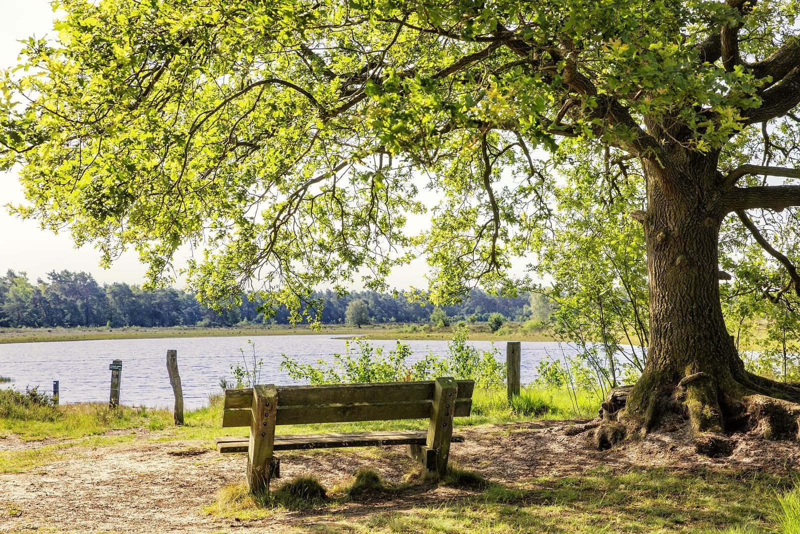 Unterkunft 526816 - Ferienhaus Twente - Boslodge met sauna | 2 pers