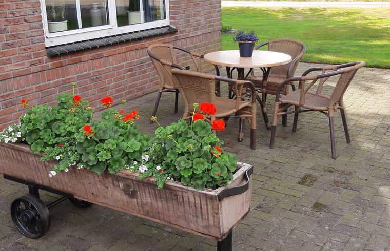 Cozy terrace at Holiday home in Lattrop Breklenkamp, ideal for outdoor dining in Twente, Overijssel.