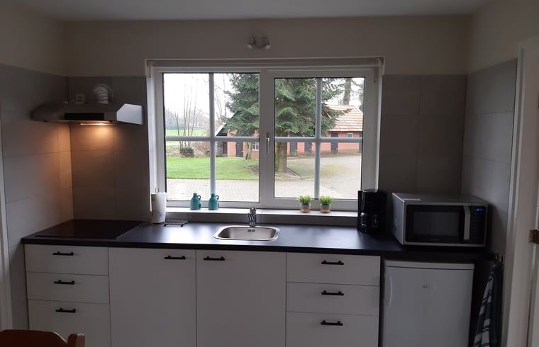 Modern kitchen in Holiday home in Lattrop Breklenkamp overlooking courtyard in Twente, Overijssel.