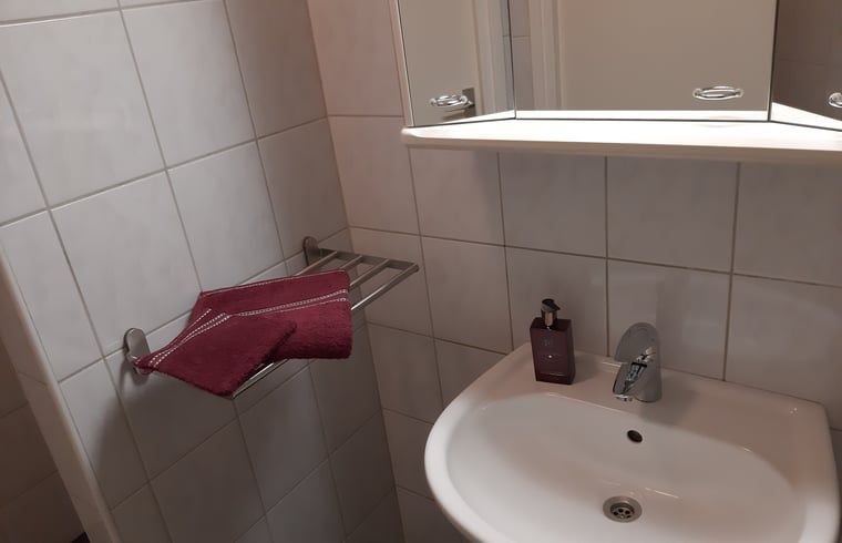 Stylish bathroom in Holiday home in Lattrop Breklenkamp with modern sink in Twente, Overijssel.
