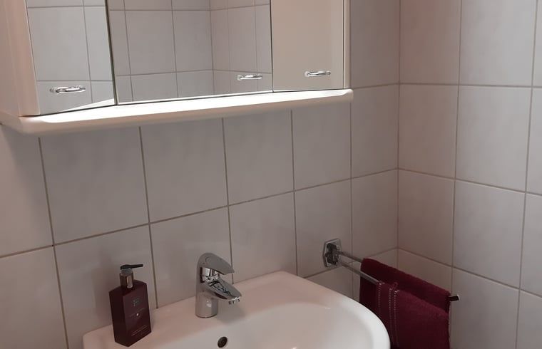 Fresh bathroom in Holiday home in Lattrop Breklenkamp with convenient storage in Twente, Overijssel.