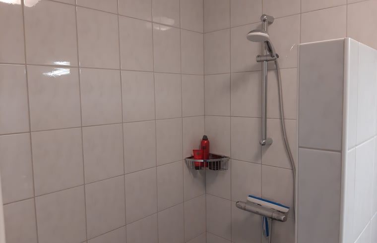 Modern shower in Holiday home in Lattrop Breklenkamp, ideal for refreshment in Twente, Overijssel.