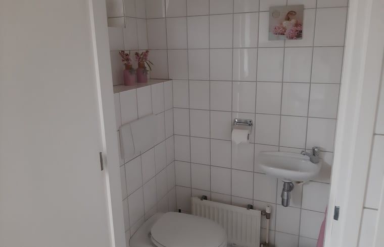 Compact bathroom in Holiday home in Lattrop Breklenkamp with all necessities in Twente, Overijssel.