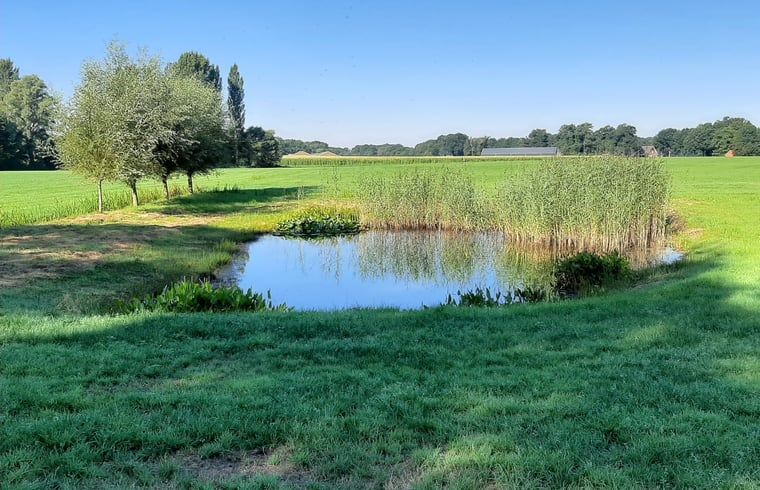 Restful view of pond at Holiday home in Lattrop Breklenkamp, surrounded by nature in Twente, Overijssel.