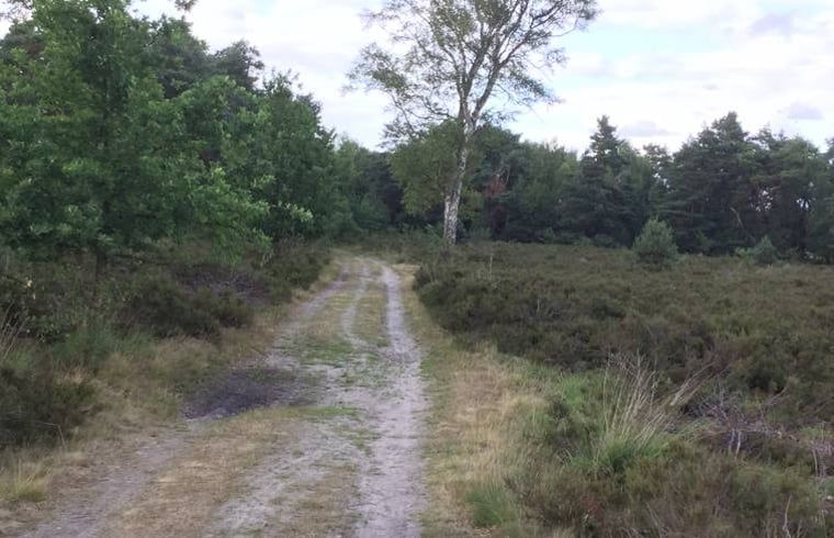 Picturesque hiking trail near Holiday home in Lattrop Breklenkamp, ideal for nature walks in Twente, Overijssel.