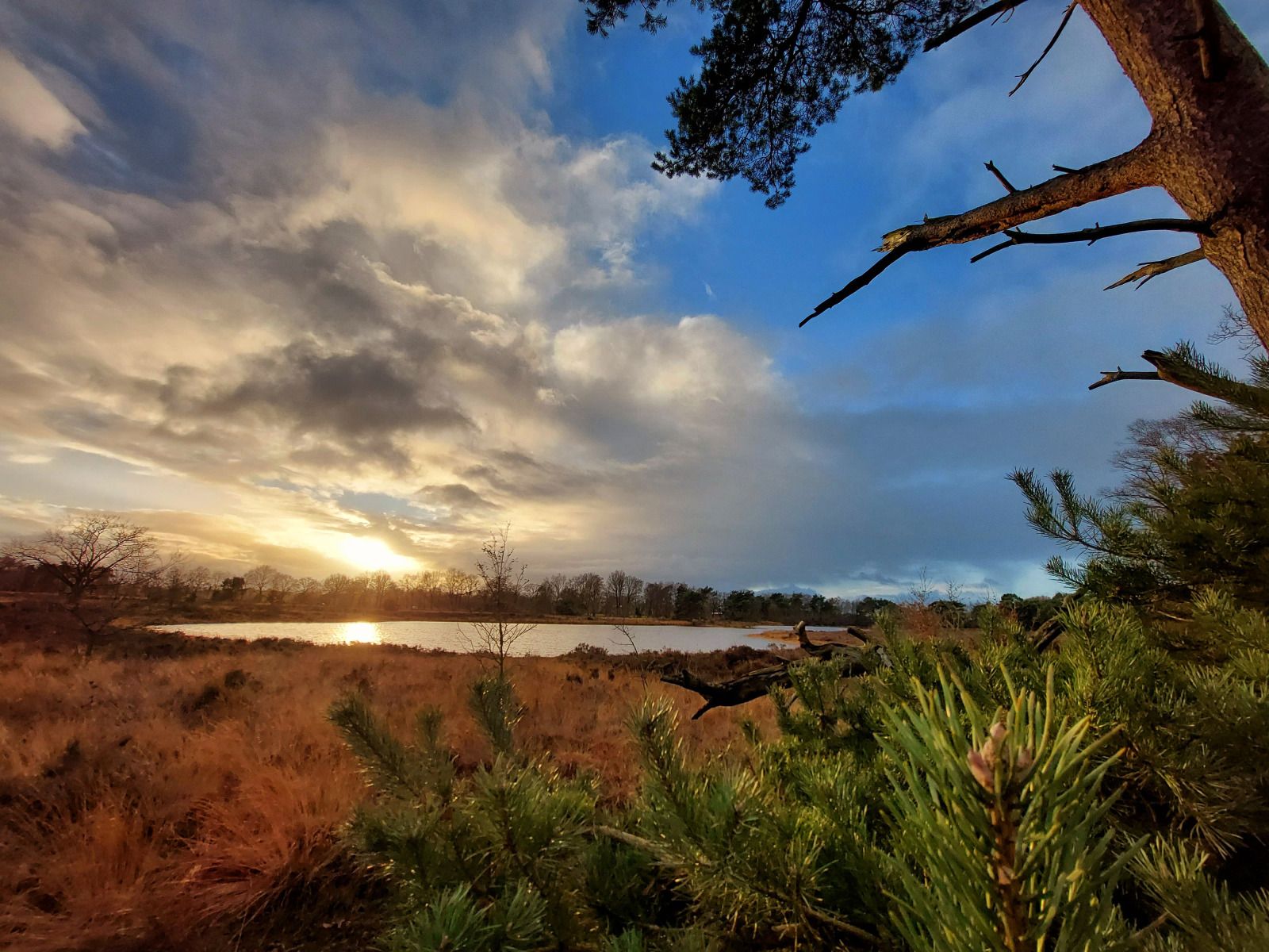 Verblijf 526845 - Vakantiewoning Twente - Vakantievilla Amalia 6 met hottub
