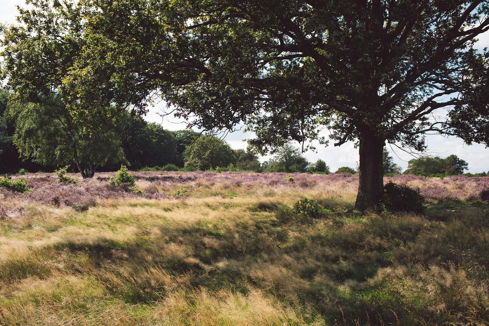 Guest house 526849 - Holiday property Twente - Waterlodge met hottub | 2 pers