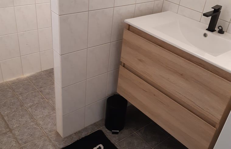 Stijlvolle badkamer in Vakantiehuis in De Pollen, Vriezenveen, Twente, met moderne wastafel.